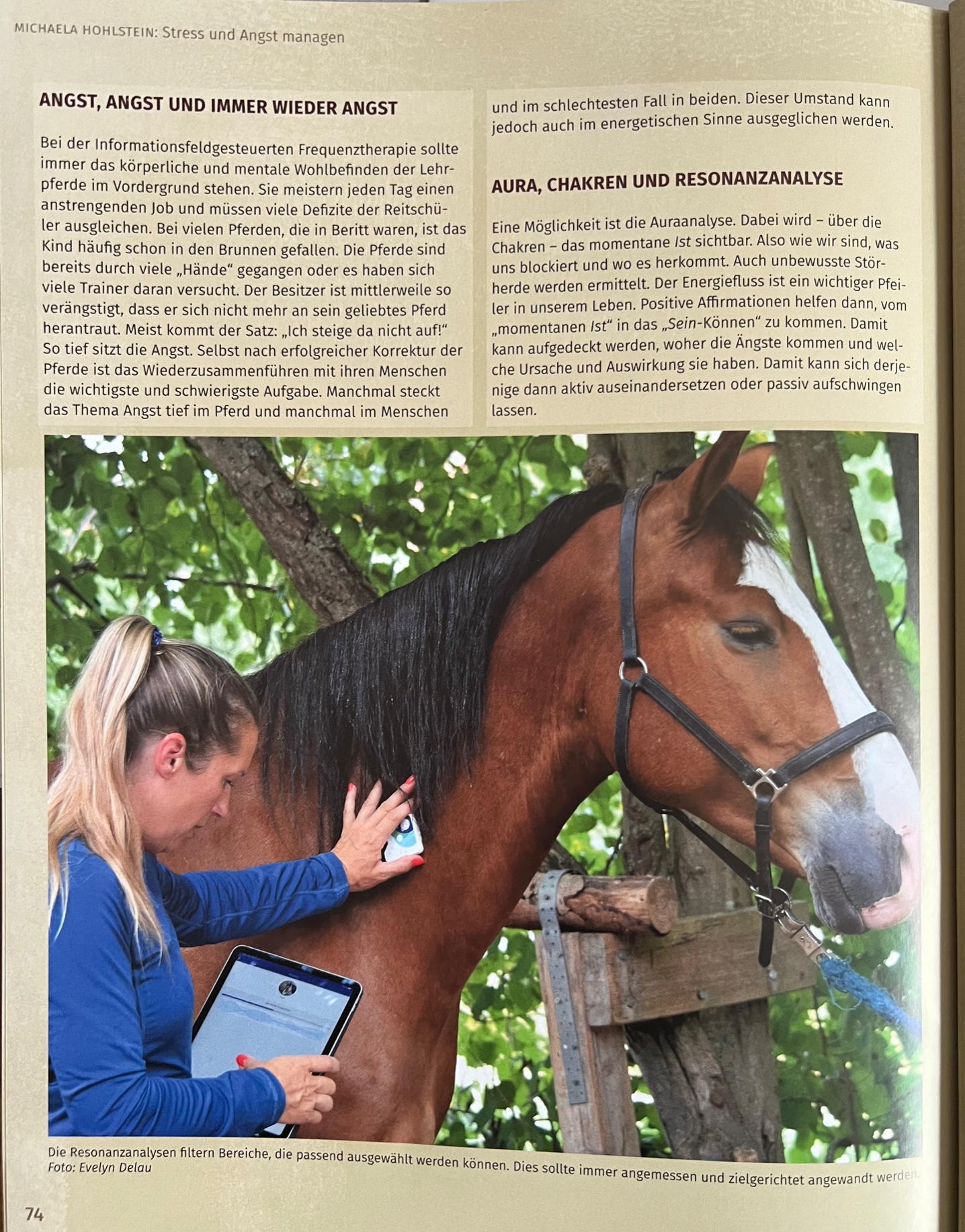 Artikel Natural Horse 01-2023 S. 4.jpg